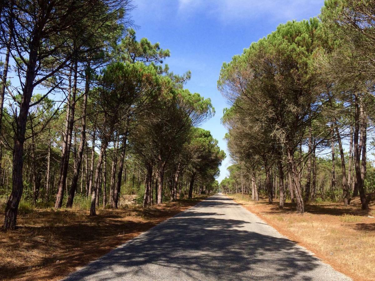 Bico Das Flores Praia de Mira Dış mekan fotoğraf